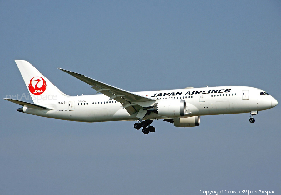 Japan Airlines - JAL Boeing 787-8 Dreamliner (JA836J) | Photo 346723
