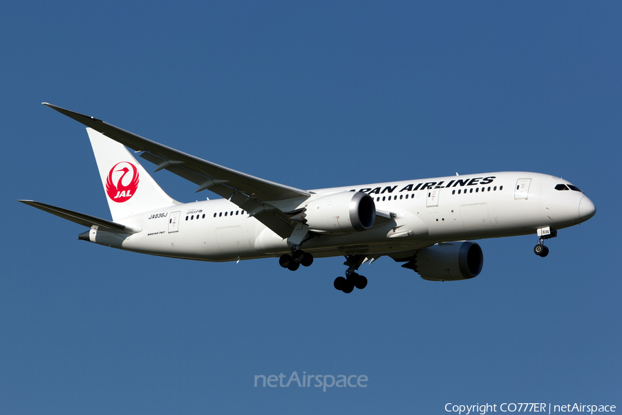 Japan Airlines - JAL Boeing 787-8 Dreamliner (JA836J) | Photo 104510