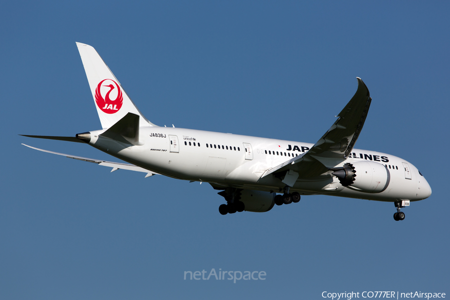 Japan Airlines - JAL Boeing 787-8 Dreamliner (JA836J) | Photo 104516