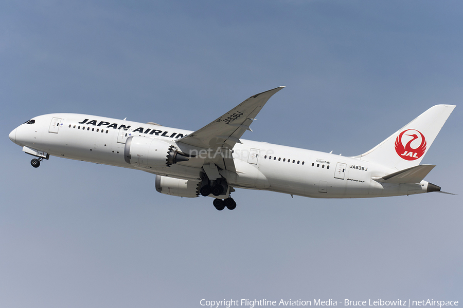 Japan Airlines - JAL Boeing 787-8 Dreamliner (JA836J) | Photo 681642