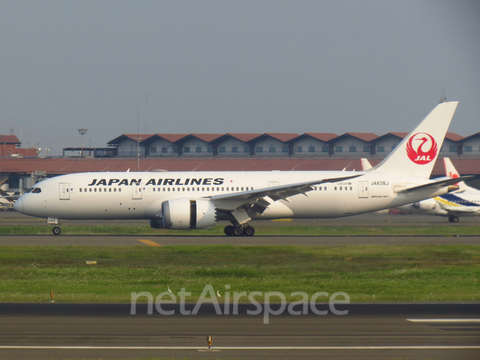 Japan Airlines - JAL Boeing 787-8 Dreamliner (JA838J) at  Jakarta - Soekarno-Hatta International, Indonesia
