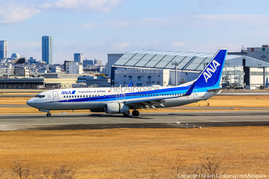 All Nippon Airways - ANA Boeing 737-881 (JA83AN) | Photo 597541