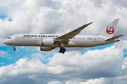 Japan Airlines - JAL Boeing 787-8 Dreamliner (JA840J) at  Frankfurt am Main, Germany