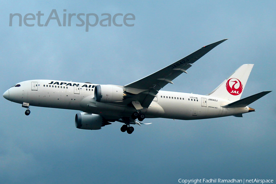 Japan Airlines - JAL Boeing 787-8 Dreamliner (JA842J) | Photo 533368