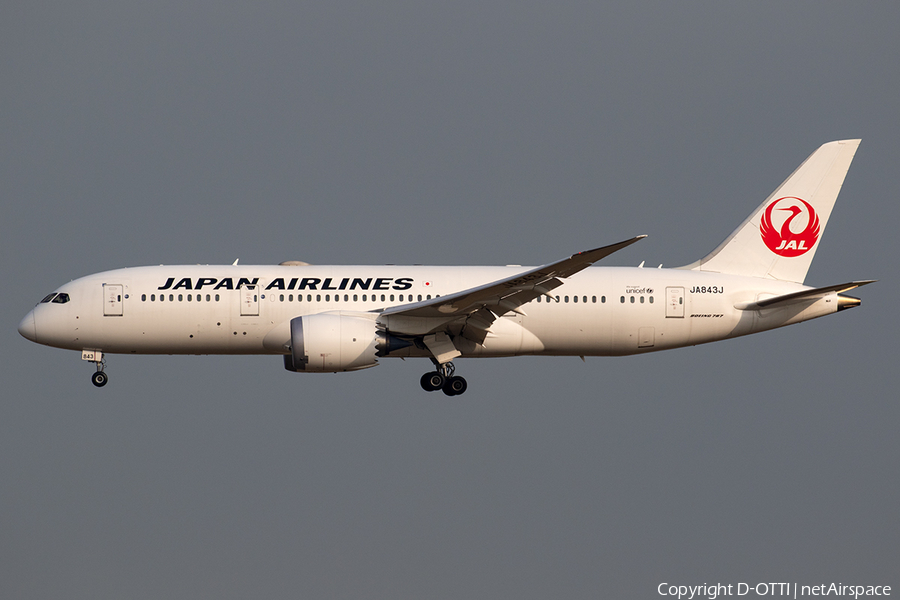 Japan Airlines - JAL Boeing 787-8 Dreamliner (JA843J) | Photo 285187