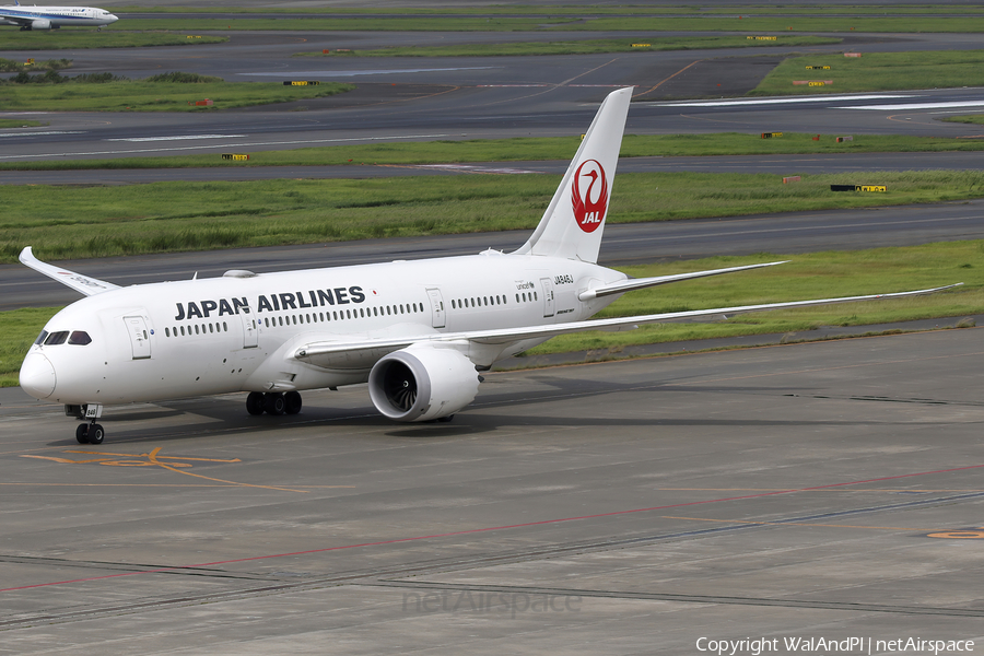 Japan Airlines - JAL Boeing 787-8 Dreamliner (JA846J) | Photo 657450