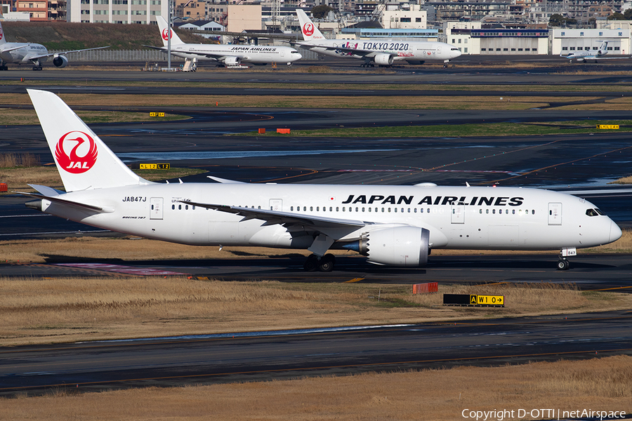 Japan Airlines - JAL Boeing 787-8 Dreamliner (JA847J) | Photo 379546