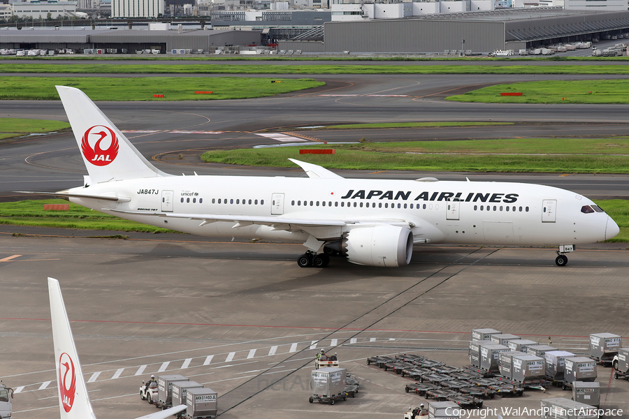 Japan Airlines - JAL Boeing 787-8 Dreamliner (JA847J) | Photo 657451