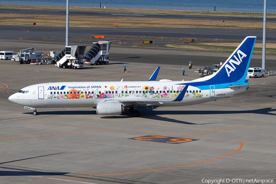 All Nippon Airways - ANA Boeing 737-881 (JA85AN) | Photo 380096
