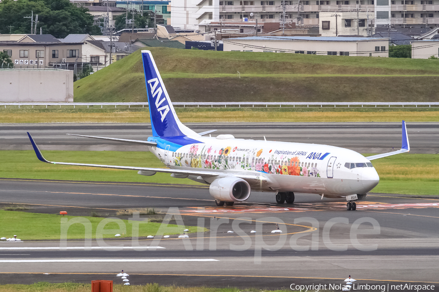 All Nippon Airways - ANA Boeing 737-881 (JA85AN) | Photo 427683