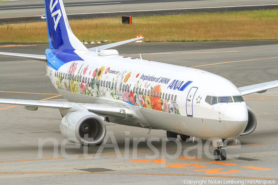All Nippon Airways - ANA Boeing 737-881 (JA85AN) | Photo 427684
