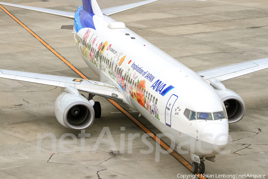 All Nippon Airways - ANA Boeing 737-881 (JA85AN) | Photo 427686