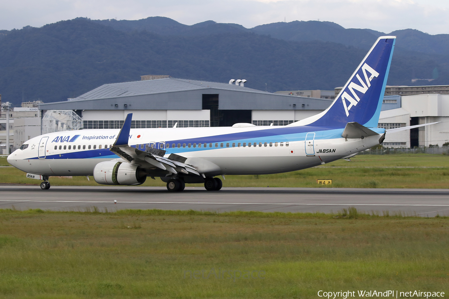 All Nippon Airways - ANA Boeing 737-881 (JA85AN) | Photo 657458
