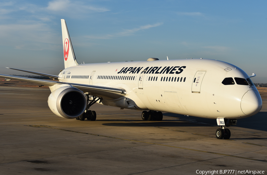 Japan Airlines - JAL Boeing 787-9 Dreamliner (JA863J) | Photo 281833
