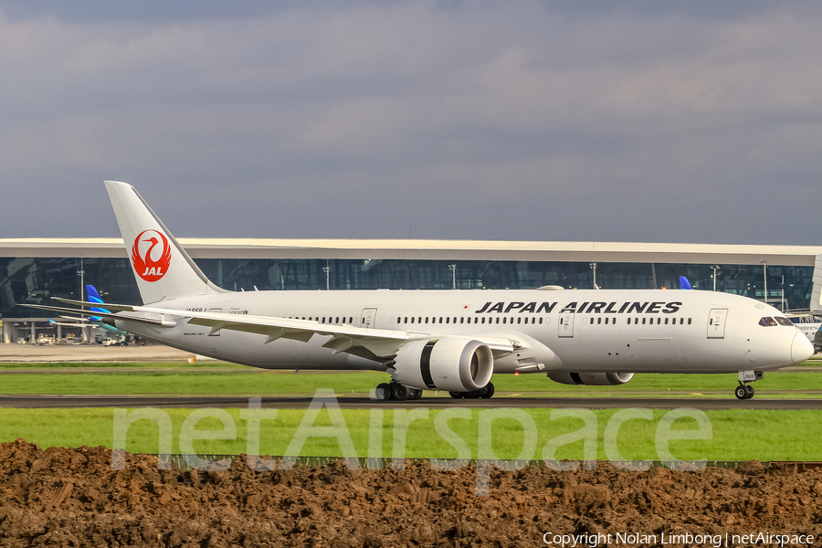 Japan Airlines - JAL Boeing 787-9 Dreamliner (JA868J) | Photo 423781