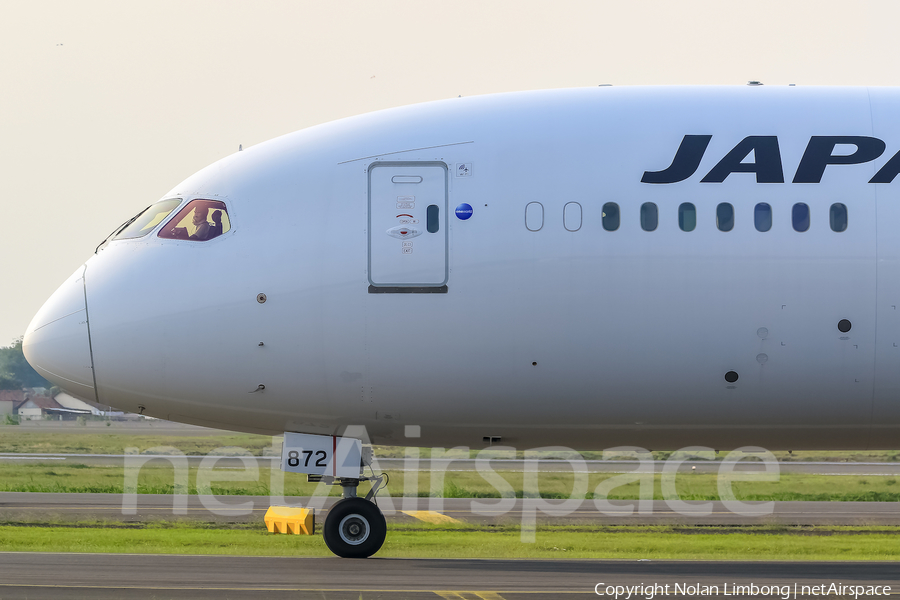 Japan Airlines - JAL Boeing 787-9 Dreamliner (JA872J) | Photo 401909
