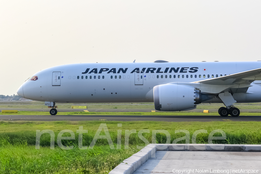Japan Airlines - JAL Boeing 787-9 Dreamliner (JA872J) | Photo 401911