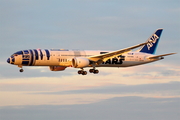 All Nippon Airways - ANA Boeing 787-9 Dreamliner (JA873A) at  Munich, Germany