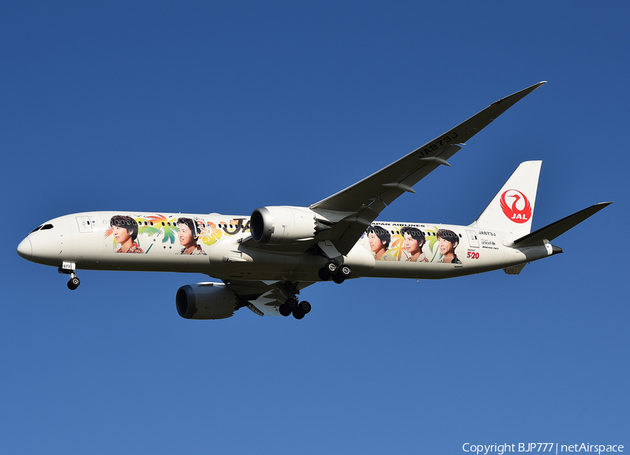 Japan Airlines - JAL Boeing 787-9 Dreamliner (JA873J) | Photo 384731