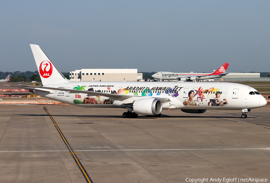 Japan Airlines - JAL Boeing 787-9 Dreamliner (JA873J) | Photo 384783