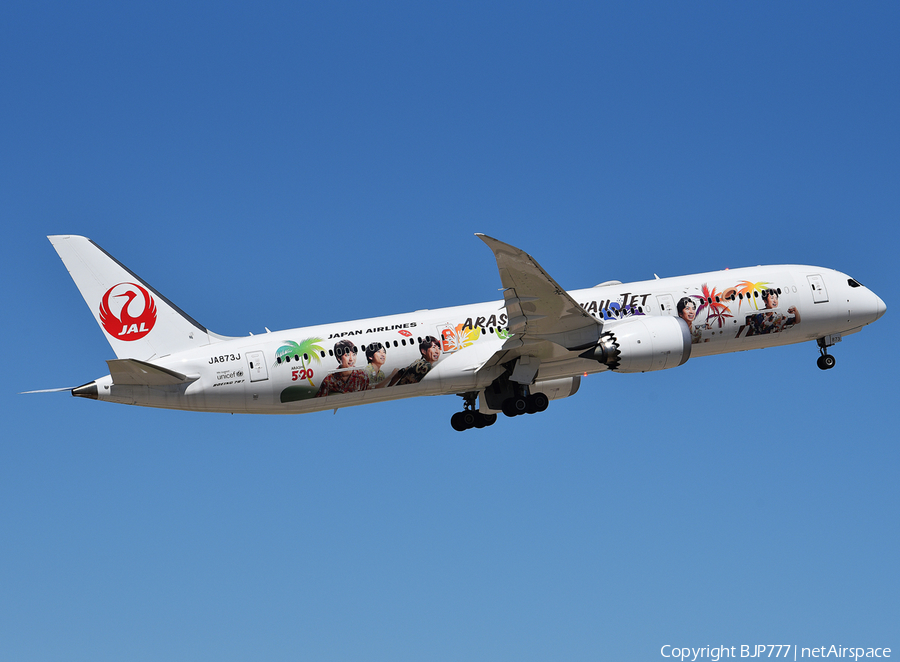 Japan Airlines - JAL Boeing 787-9 Dreamliner (JA873J) | Photo 389128