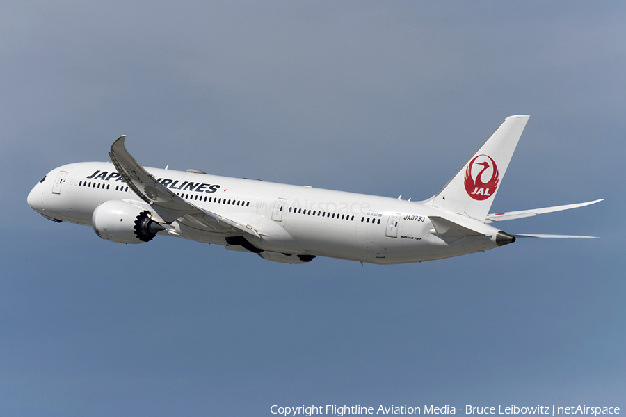 Japan Airlines - JAL Boeing 787-9 Dreamliner (JA873J) | Photo 681699