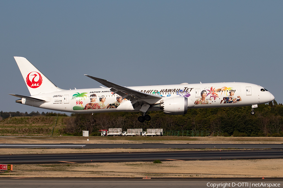 Japan Airlines - JAL Boeing 787-9 Dreamliner (JA873J) | Photo 391135