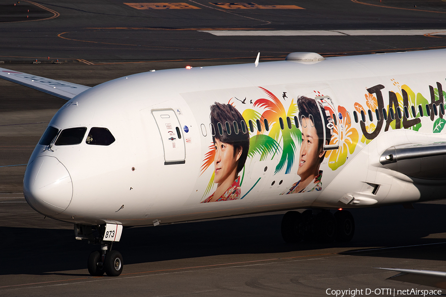 Japan Airlines - JAL Boeing 787-9 Dreamliner (JA873J) | Photo 401173