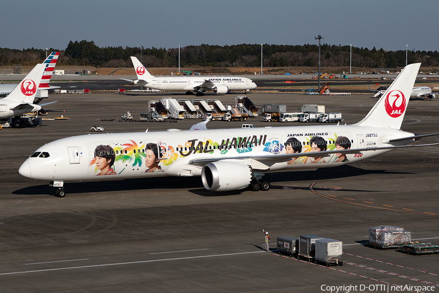 Japan Airlines - JAL Boeing 787-9 Dreamliner (JA873J) | Photo 401175