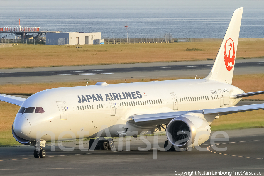 Japan Airlines - JAL Boeing 787-9 Dreamliner (JA876J) | Photo 427738
