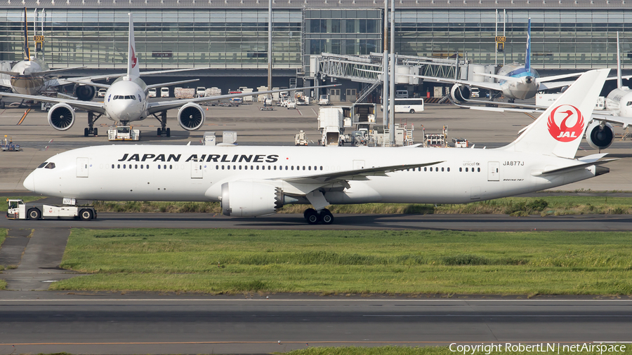 Japan Airlines - JAL Boeing 787-9 Dreamliner (JA877J) | Photo 592358