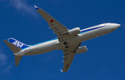 All Nippon Airways - ANA Boeing 737-8AL (JA88AN) at  Seattle - Boeing Field, United States