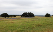 Johnson City (LBJ Ranch Airport), United States