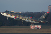 Royal Jordanian Airbus A319-132 (JY-AYN) at  Berlin - Tegel, Germany