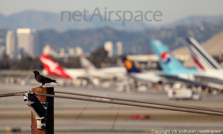 Aviation photo 90655