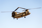 Libyan Air Force Boeing CH-47C Chinook (LC-010) at  Luqa - Malta International, Malta