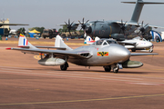 (Private) De Havilland DH.115 Vampire T55 (LN-DHZ) at  RAF Fairford, United Kingdom