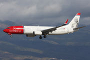 Norwegian Air Shuttle Boeing 737-81Q (LN-NOC) at  Tenerife Sur - Reina Sofia, Spain