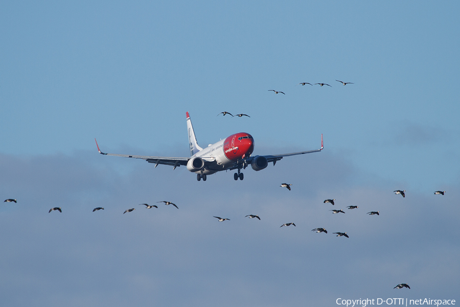 Norwegian Air Shuttle Boeing 737-8JP (LN-NOT) | Photo 485464