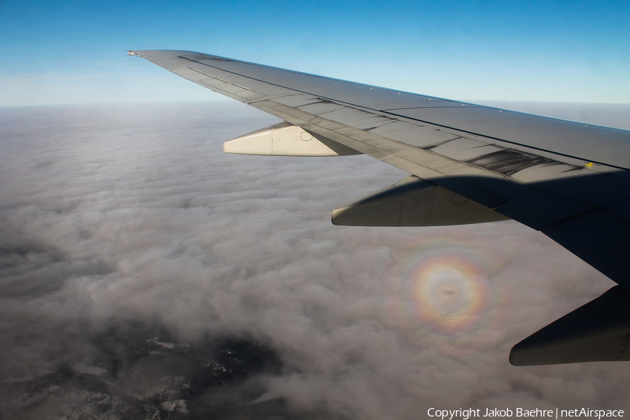 SAS - Scandinavian Airlines Boeing 737-883 (LN-RCZ) | Photo 236707