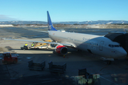 SAS - Scandinavian Airlines Boeing 737-883 (LN-RCZ) at  Oslo - Gardermoen, Norway