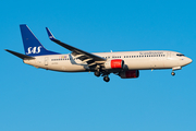 SAS - Scandinavian Airlines Boeing 737-86N (LN-RGA) at  Amsterdam - Schiphol, Netherlands