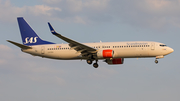 SAS - Scandinavian Airlines Boeing 737-86N (LN-RGA) at  Dusseldorf - International, Germany