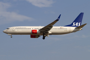 SAS - Scandinavian Airlines Boeing 737-86N (LN-RGA) at  Palma De Mallorca - Son San Juan, Spain