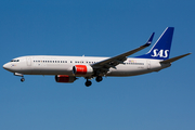 SAS - Scandinavian Airlines Boeing 737-86N (LN-RGA) at  Copenhagen - Kastrup, Denmark