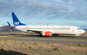 SAS - Scandinavian Airlines Boeing 737-86N (LN-RGB) at  Gran Canaria, Spain