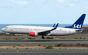 SAS - Scandinavian Airlines Boeing 737-86N (LN-RGB) at  Gran Canaria, Spain