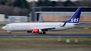 SAS - Scandinavian Airlines Boeing 737-86N (LN-RGB) at  Berlin - Tegel, Germany