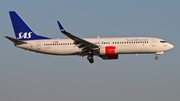 SAS - Scandinavian Airlines Boeing 737-86N (LN-RGB) at  Dusseldorf - International, Germany