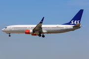 SAS - Scandinavian Airlines Boeing 737-86N (LN-RGC) at  Barcelona - El Prat, Spain